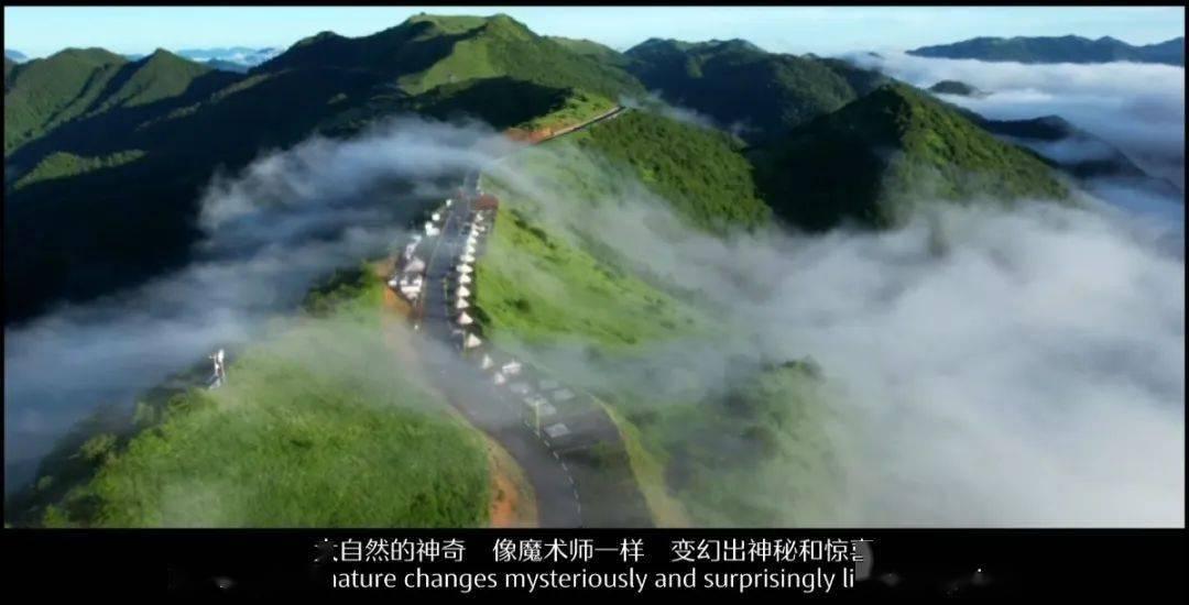 失忆的流浪者